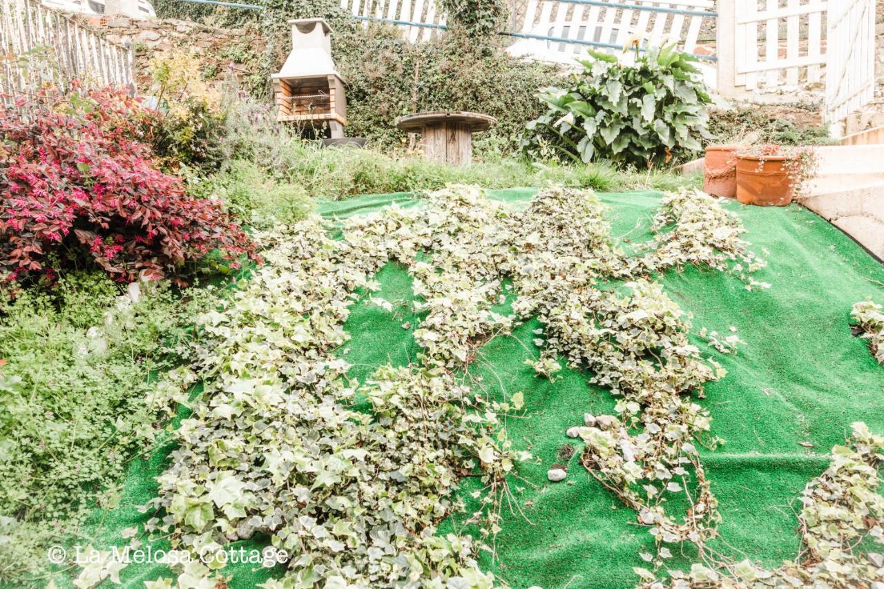 La Melosa Cottage Cudillero Dış mekan fotoğraf